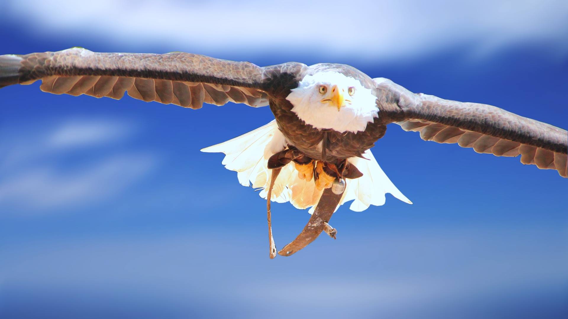 Changing Canadian Identities in the Shadow of the US Giant